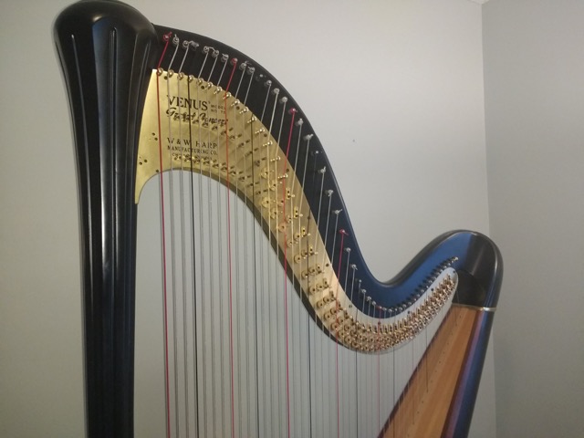 Venus harp deals
